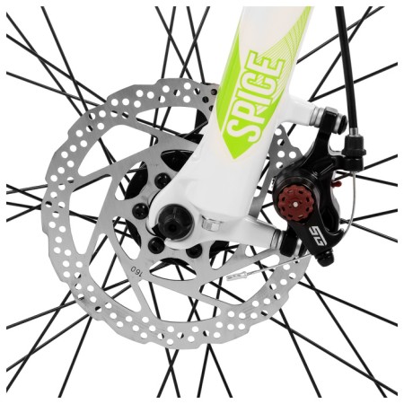 Stinger 26 "Laguna Evo bike, green color, p. 17"-6