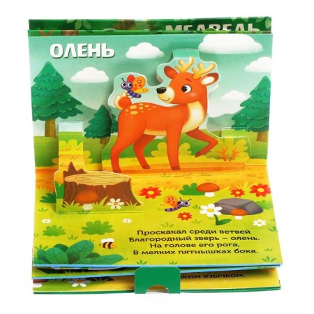 Books-Books 3D set "Animals of Forests and Zoo" 2 pcs 12 pcs.-4