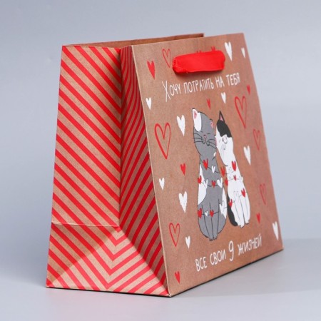 Package Gift Craft Horizontal, Packaging, “Slender Nine Life”, MS 18 x 23 x 8 cm-1
