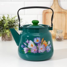 Kettle, 3.5 l, with a mix of mix, induction, turquoise color