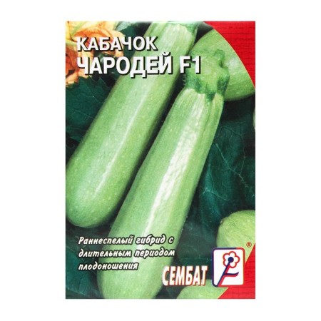 Semen zucchini "Winning F1", 1 g