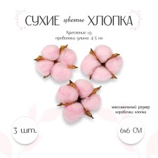 Dry flowers of cotton, set 3 pcs., Size 1 pc. 6 × 6 cm, pink color