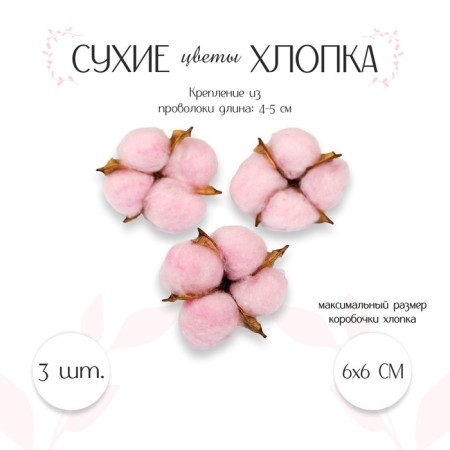 Dry flowers of cotton, set 3 pcs., Size 1 pc. 6 × 6 cm, pink color