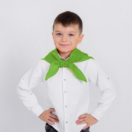 Pioneer tie, green color, shades mix-2