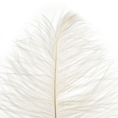 Feather for decor, size: 25-30 cm, white color-4