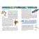 Children's Encyclopedia "Underwater World"