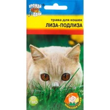 Seeds of grass for cats 