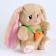 Soft toy "Bunny", with carrots, 25 cm