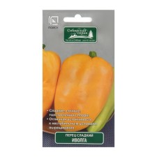 Sweet pepper 