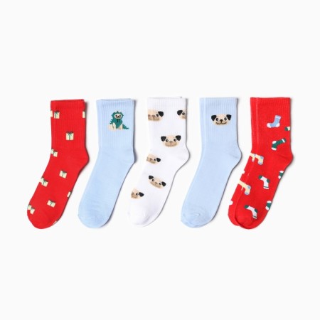 Set of female socks KAFTAN "Gift for you" size 36-39 (23-25 ​​cm), 5 pairs-2