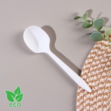 A disposable tablespoon “Bio Eco Standard S”, 14 × 3.5 cm, color mix