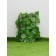 Decorative fence, 110 × 40 cm, “aspen sheet”, Greengo