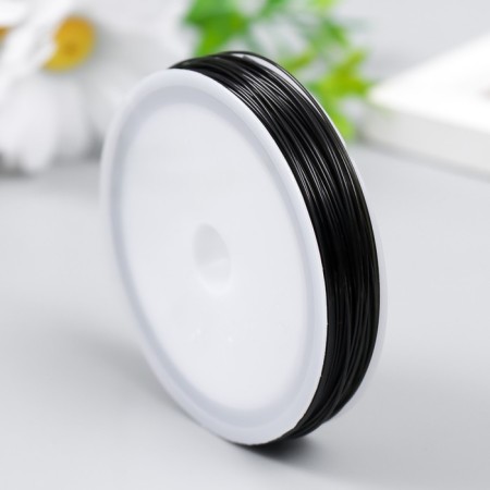 Biser "Astra" 0.6 mm, 30 m, black