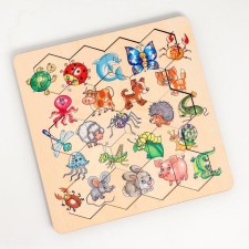 Wooden puzzle 