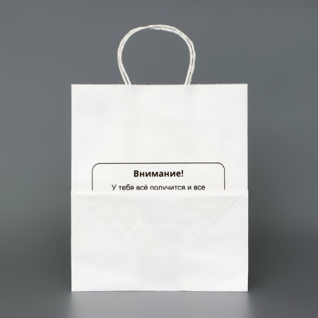 The package is white, with a joke, "You will succeed!", 24 x 14 x 28 cm-1