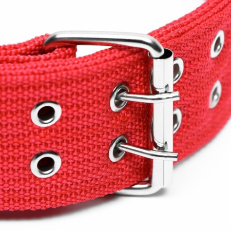 Four-layer collar with a swivel, 80 x 4.9 cm, Osh 64-74 cm, polyester, red-2