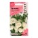 Eustoma flowers "ABC Wight F1", 5 pcs