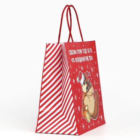 Gift package “Thank you this year”, 22 x 22 x 11 cm, new year-3