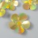 Stick Paper "Flower. Golden holography" set 6 pcs 13x12.3x0.6 cm