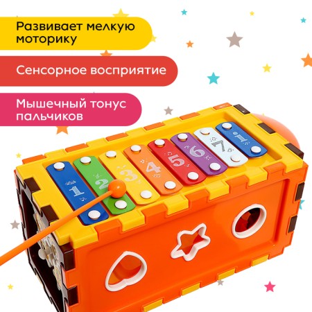 Developing Sorter with a metallophone "Funny baby"-3