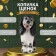 Piggy bank "Puppy Spaniel, large, 24.5 cm