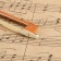 Music Life 1/2