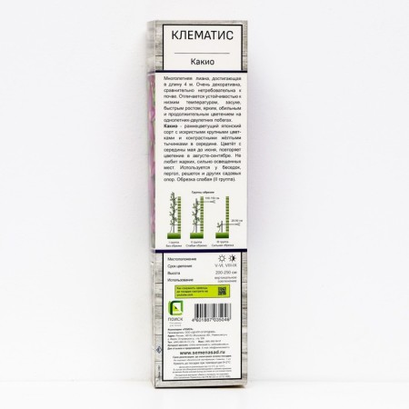 Clematis large -flowered "kakio", 1 pc, tube, spring 2025-1