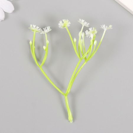 Artificial plant for creativity "chicory" set of 8 pcs white 10 cm-1