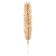 Decor "spray spruce gold", set 2 pcs., Size 1 pc. - 22 × 4 cm