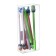 Calligrata Cactus Prime Hand-Procerus, Geli, Mix