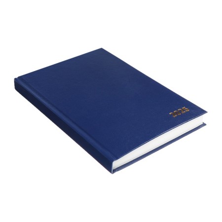 Dated diary of 2025, A5, 168 sheets, boumvinyl, blue-2