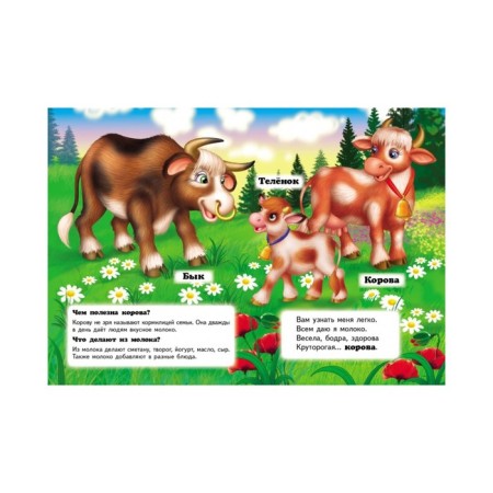 Mini Encyclopedia “Who is it? On the farm"-1