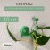 Fastards for climbing plants, wall, self -adhesive, “snail”, d = 10 mm, Greengo