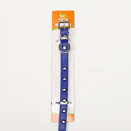 A collar with blunt spikes 38 x 1.5 cm, Osh 26-33, frost-resistant PU, blue-2