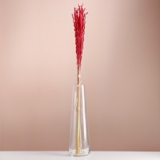 Set of dried flowers 