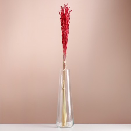 Set of dried flowers "Raigrace", banch 21 pcs, length 60 (+/- 6 cm), red