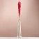 Set of dried flowers "Raigrace", banch 21 pcs, length 60 (+/- 6 cm), red