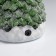 LED figure "train and deer" 26 × 14 × 14 cm, polystone, batteries AAAX2 (not in the kit), glow of multi