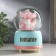 Souvenir Polystone Water Ball Music "Carousel with Unicorns" is spinning a mix 15x10x10 cm