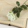 Artificial "rose" 56 cm d-8.5 cm, white