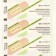 Medical Bactericidal Bactericidal on a non -woven base size 2.5cm*7.2cm