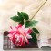 Artificial flowers "Begonia" premium, 14x60 cm, pink-raspberry