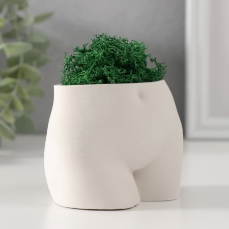 Interior subject "innocent view" height 6.5 cm, width 8.5 cm white (moss green. Stabiliz)-1
