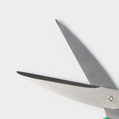Scissors kitchen shares "Assistant", 15 cm, green color-4