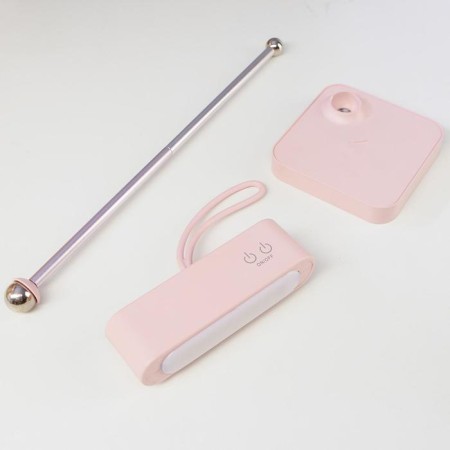 Table lamp 1670/1 LED 5W 2 modes 3000K 6000K USB battering rose 13x10.4x34 cm Risalux-9