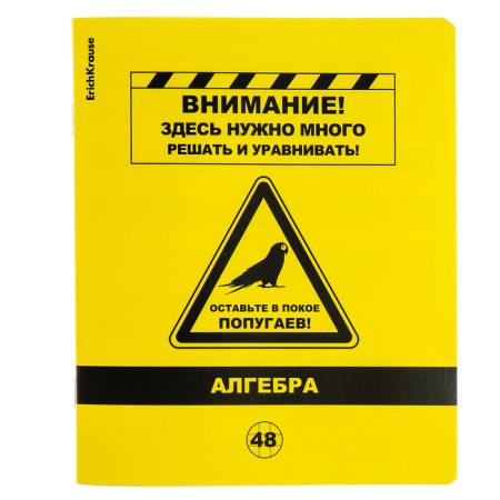 Subject notebook, 48 sheets, cage, algebra, Erichkrause "BE Informed", plastic cover silk-screen covers, Bellar Beliac block 100%, information block-1