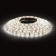 A set of LED tape "ERA" 5 m, IP20, SMD2835, 60 LED/m, 12 V, 2700K