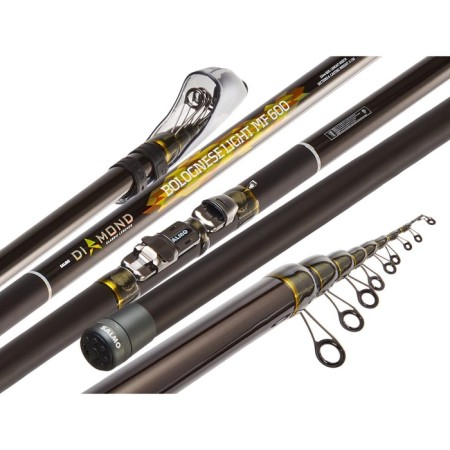The float rod with the rings of Salmo Diamond Bolognes Light MF, test 3-15 g, length 6 m.-1