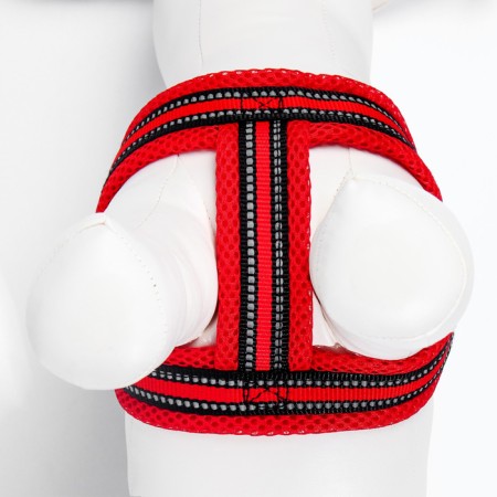 The ammunition set is soft, reflective, leash 120 x 2 cm, Osh 25-72 cm, red-7