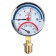 Thermomanometer "CTM", radial, DK 80 mm, 1 MPa, external thread 1/4 ", 120 ° C
